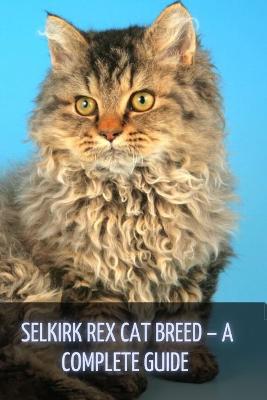 Book cover for Selkirk Rex Cat Breed - A Complete Guide