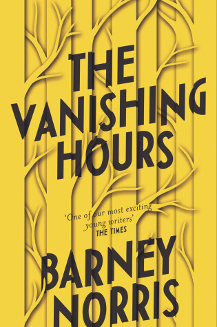 Cover of The Vanishing Hours