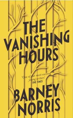 Book cover for The Vanishing Hours