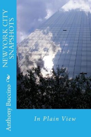 Cover of NEW YORK CITY SNAPSHOTS In Plain View