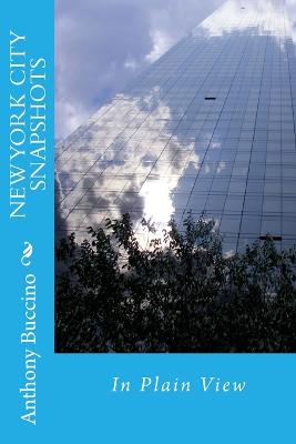 Book cover for NEW YORK CITY SNAPSHOTS In Plain View