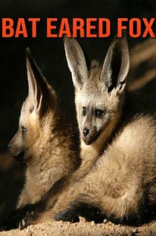 Cover of Bat Eared Fox