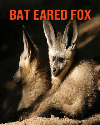 Book cover for Bat Eared Fox