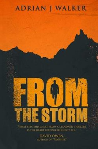 Cover of From the Storm