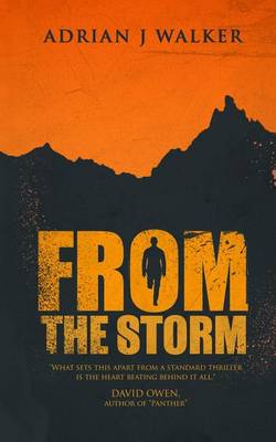 Book cover for From the Storm