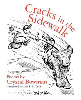 Book cover for Cracks in the Sidewalk