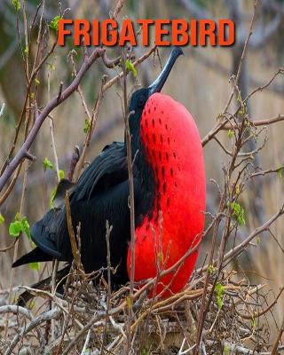 Book cover for Frigatebird