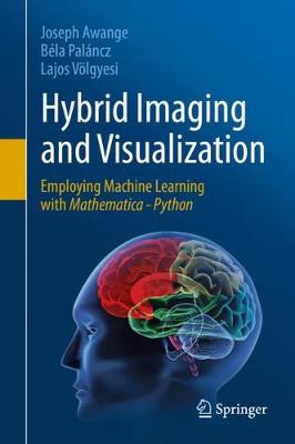 Book cover for Hybrid Imaging and Visualization