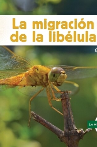 Cover of La Migración de la Libélula (Dragonfly Migration)