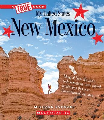 Book cover for New Mexico (a True Book: My United States)