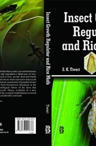 Cover of Insect Growth Regulator and Rice Moth