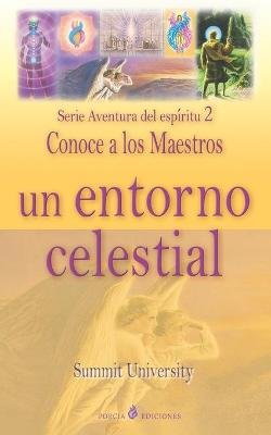 Cover of Un entorno celestial