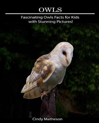 Book cover for Owls