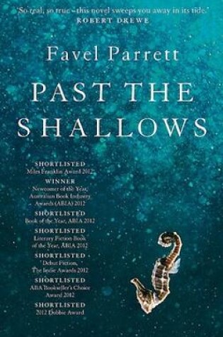 Past the Shallows