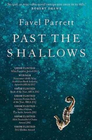 Cover of Past the Shallows