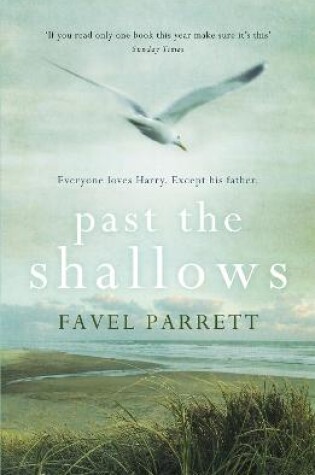 Cover of Past the Shallows