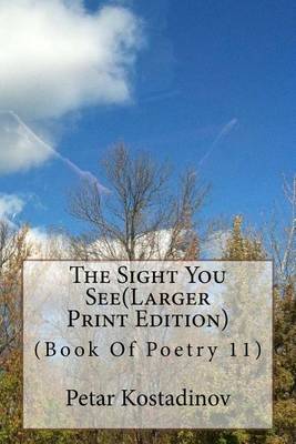 Book cover for The Sight You See(Larger Print Edition)