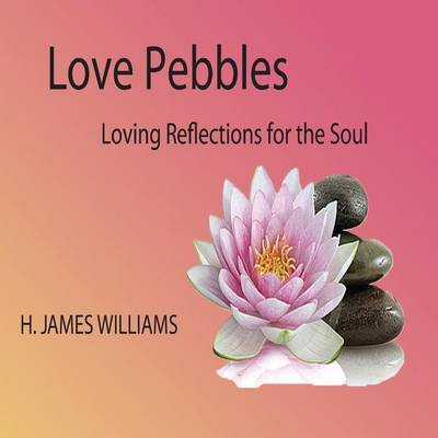 Book cover for Love Pebbles