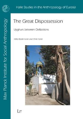 Cover of The Great Dispossession