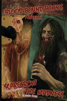 Book cover for Scarecrow & the Madness