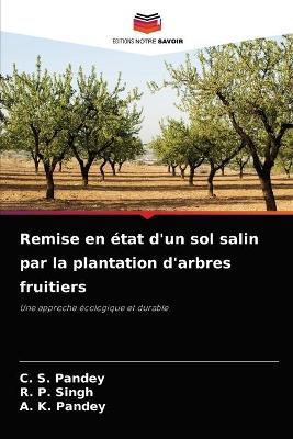 Book cover for Remise en état d'un sol salin par la plantation d'arbres fruitiers