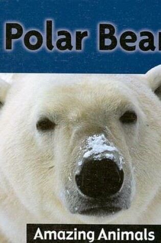 Cover of Polar Bears