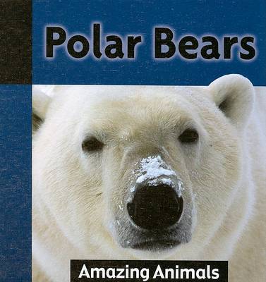 Book cover for Polar Bears