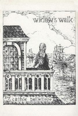 Book cover for Widow's Walk