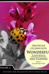 Book cover for Wonderful Ladybugs and Flowers Books 2