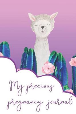 Book cover for My Precious Pregnancy Journal