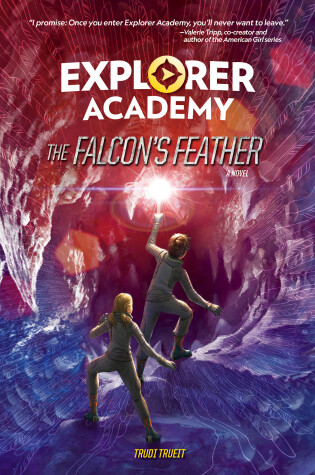 Cover of The Falcon's Feather (Book 2)