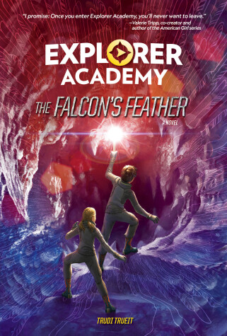 Book cover for The Falcon's Feather (Book 2)