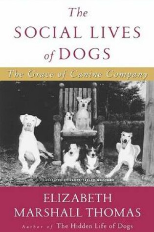 Cover of Social Life of Dogs