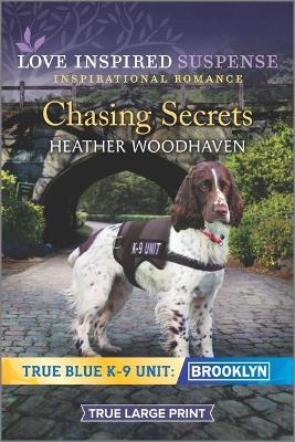 Book cover for Chasing Secrets