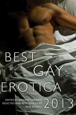 Cover of Best Gay Erotica 2013