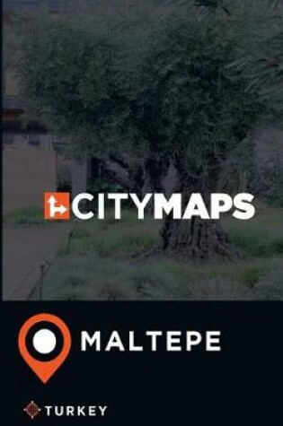 Cover of City Maps Maltepe Turkey