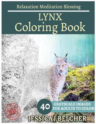 Book cover for Lynx Coloring Book for Adults Relaxation Meditation Blessing