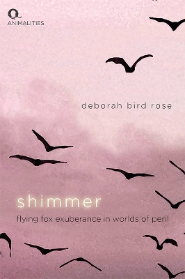 Book cover for Shimmer