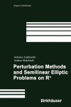 Book cover for Perturbation Methods and Semilinear Elliptic Problems on R[Superscript N]