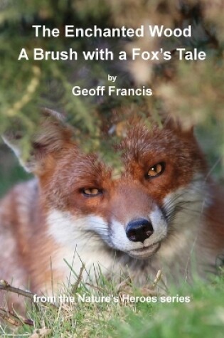 Cover of Enchanted Wood - Brush of a Fox's Tale