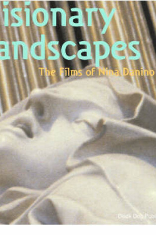 Cover of Visionary Landscapes: the Films of Nina Danino