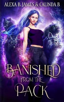 Book cover for Banished From the Pack