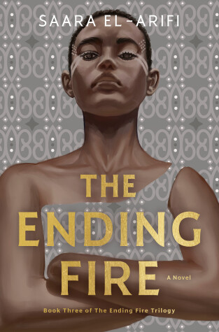 Book cover for The Ending Fire