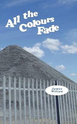 Book cover for All the Colours Fade