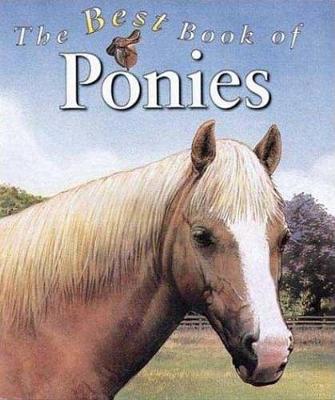 Book cover for The Best Book of Ponies