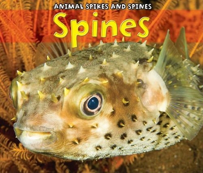 Book cover for Spines (Animal Spikes and Spines)
