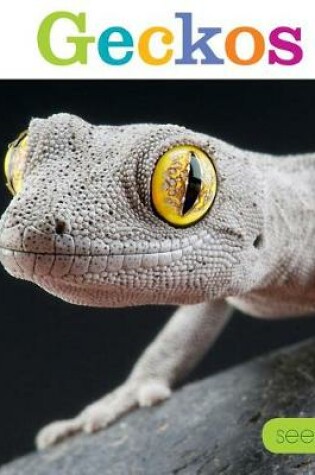 Cover of Geckos