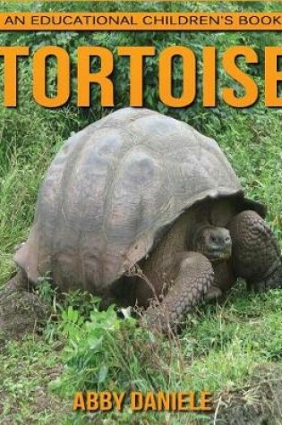 Cover of Tortoise! An Educational Children's Book about Tortoise with Fun Facts & Photos