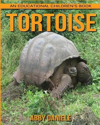 Book cover for Tortoise! An Educational Children's Book about Tortoise with Fun Facts & Photos