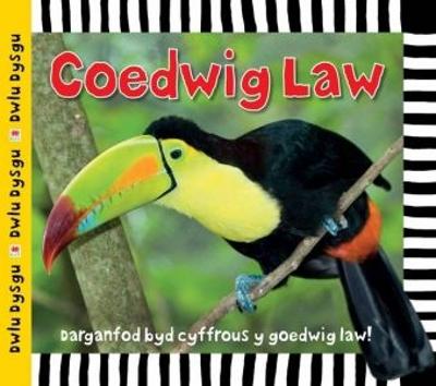 Book cover for Cyfres Dwlu Dysgu: Coedwig Law